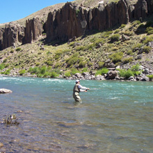 Pesca en río Neuquén y afluentes